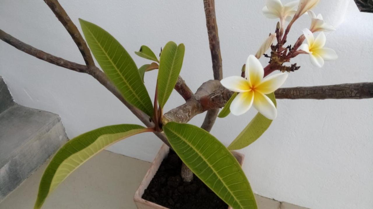 Casa Sol Y Luz - Casa Rural كاربونيذاس المظهر الخارجي الصورة
